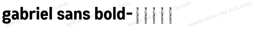 gabriel sans bold字体转换